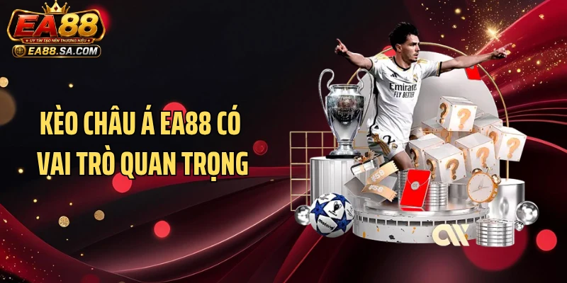 Kèo Châu Á EA88 - Hình Thức Thể Thao Được Quan Tâm Kèo châu Á EA88 có vai trò quan trọng